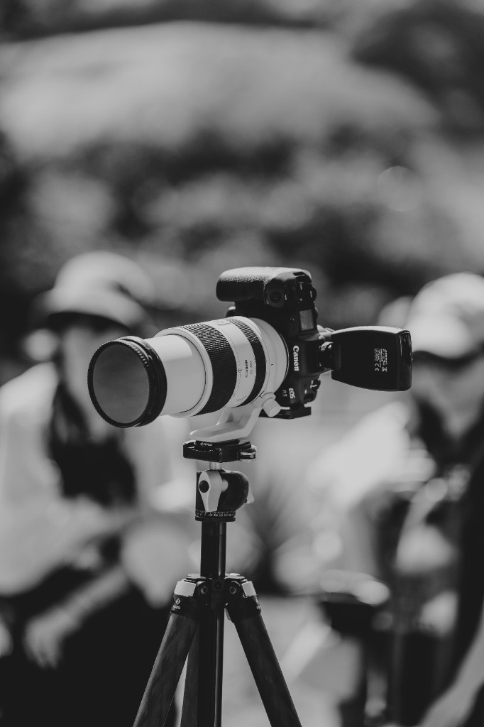 Photographers